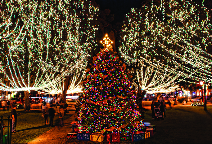 Christmas Tree in the Plaza